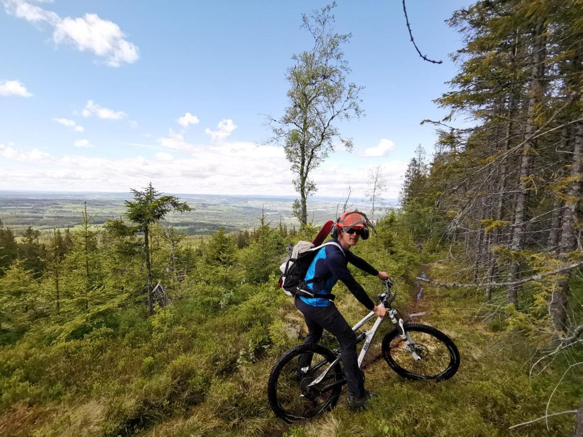 Idylliske Evjua Ved Mjosa Campsite Skreia