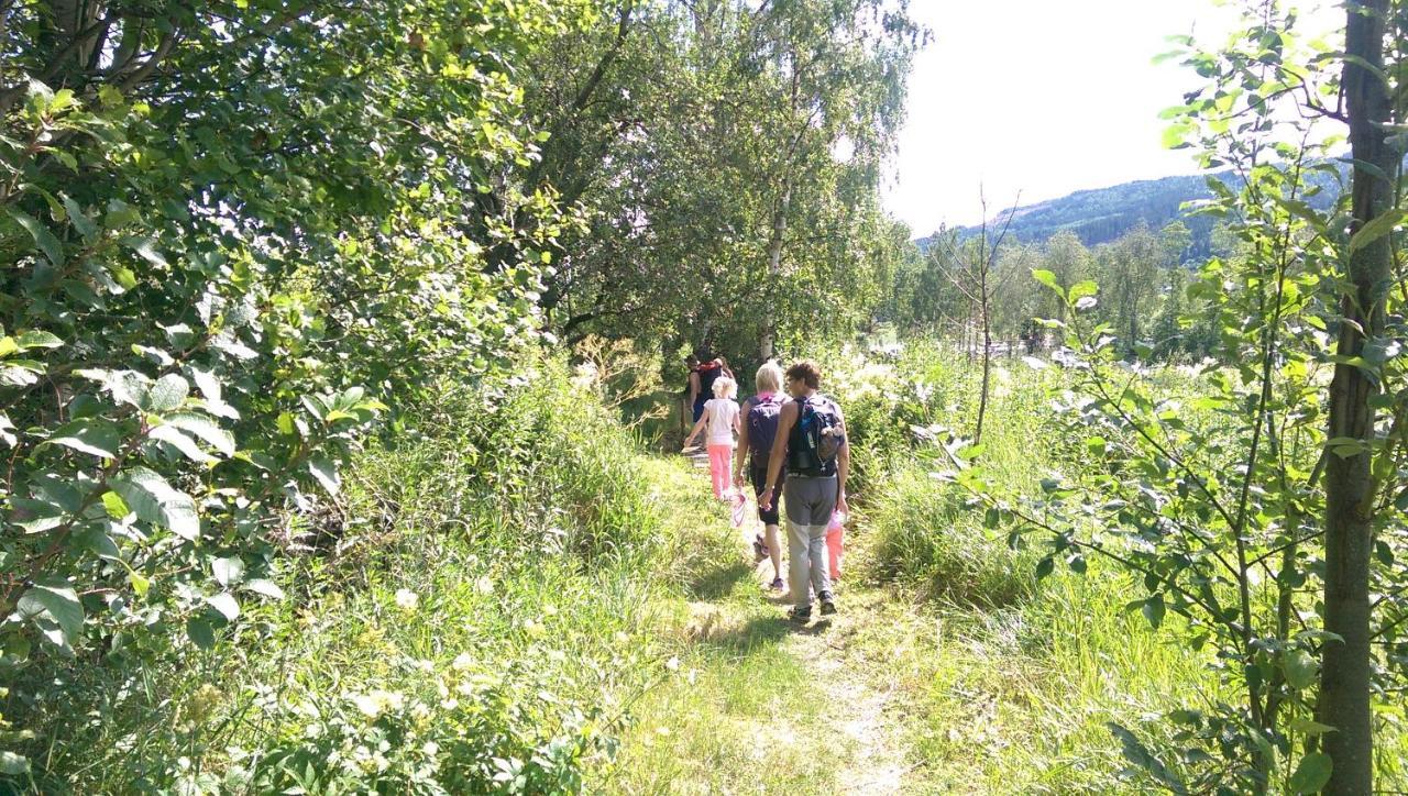 Idylliske Evjua Ved Mjosa Campsite *