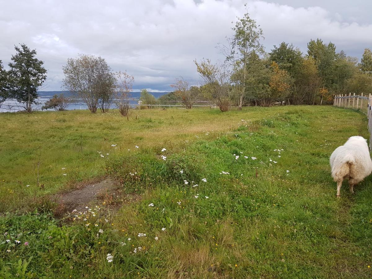 Idylliske Evjua Ved Mjosa Skreia