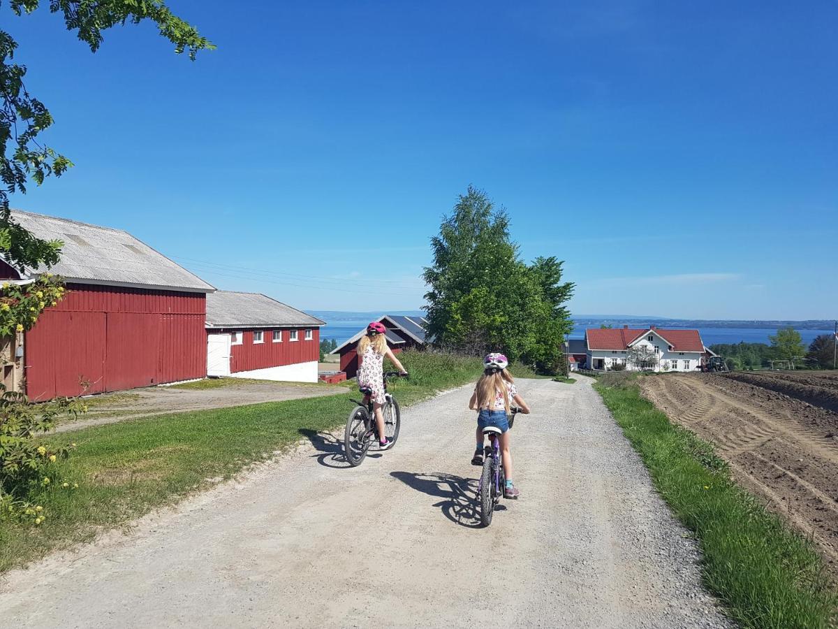 Idylliske Evjua Ved Mjosa Skreia