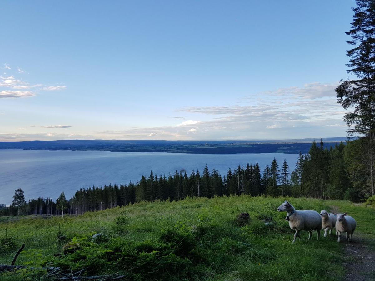 Кемпинг Idylliske Evjua Ved Mjosa Skreia