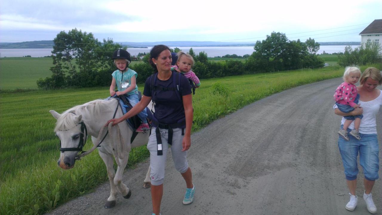 Campsite Idylliske Evjua Ved Mjosa *